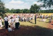 General view of the lower field looking out towards the Coombes