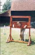 David Rowe in the Stocks