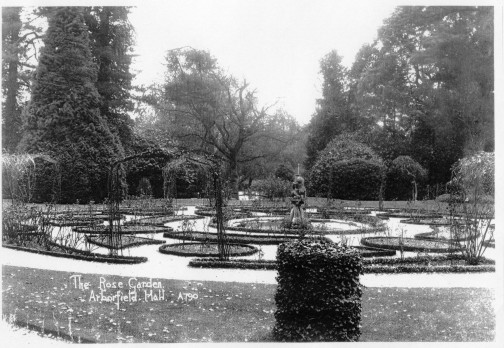 The Rose Garden