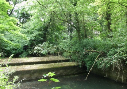 The embankment as seen from the lock pool.