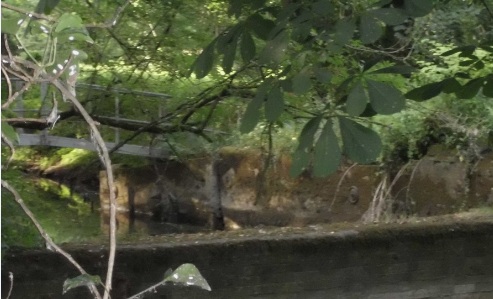 The Lock Pool as seen from the Boathouse side.