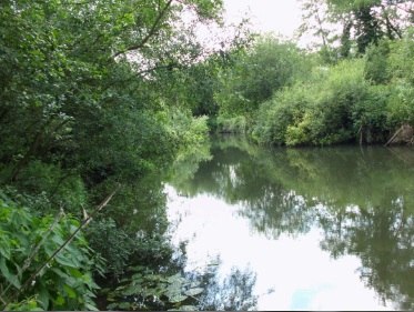 The River Loddon mill channel, looking upstream