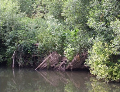 This appears to be the remains of a footbridge to the island.