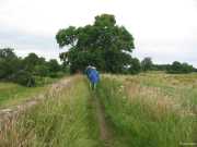 Walking north-eastwards along the top of the City Wall