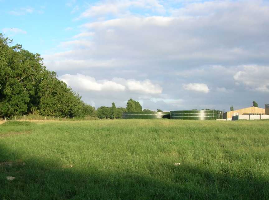 Lumps of concrete on the north-west corner of the meadow - all that remains of the decoy site