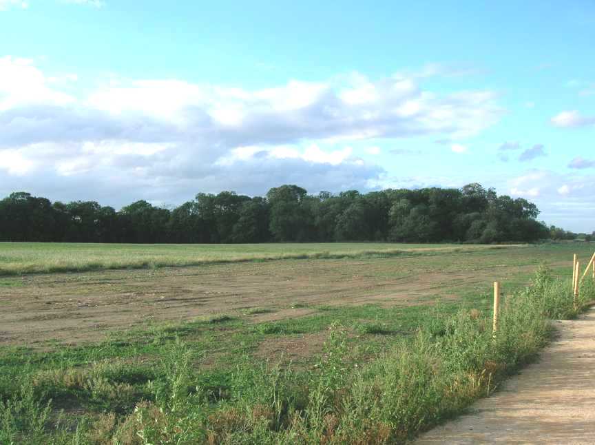 Looking northwards towards the copse as shown on the 1940's O.S. map