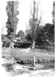 The Stepping Stones across the Mole Brook