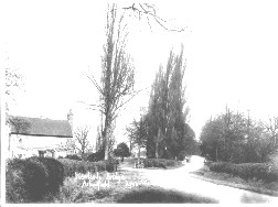 Newlands Bridge over the Mole Brook