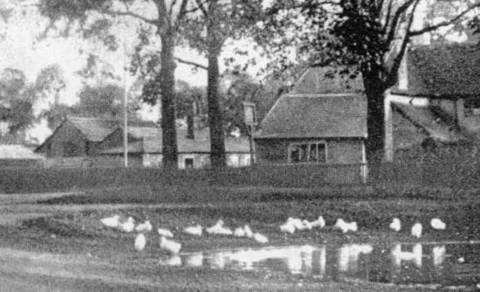 The Parish Cottages by the Bull in Swallowfield Road, at a time when the Pond still contained water