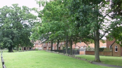 Landscaping between Baird Road and Valon Road