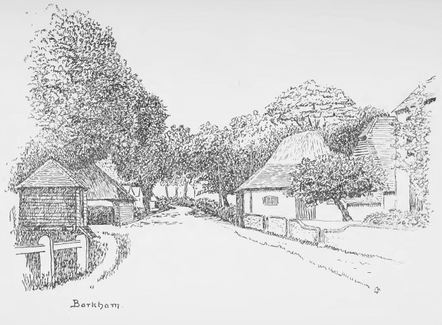 Barkham - near Dole's Farm